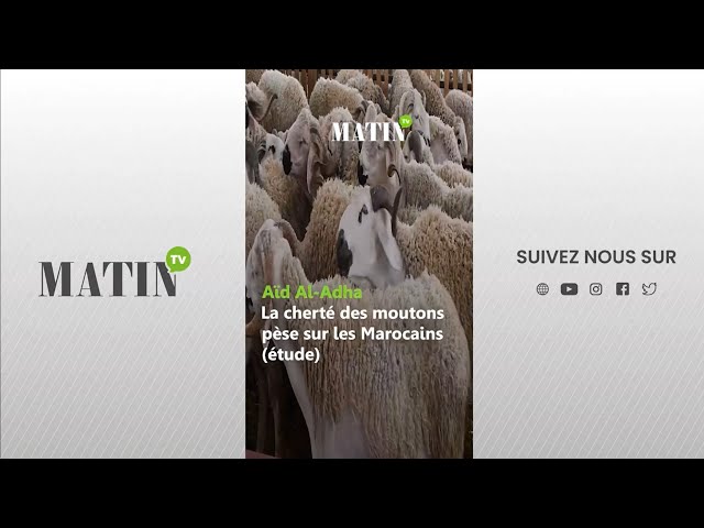 ⁣Aïd Al-Adha : La cherté des moutons pèse sur les Marocains (étude)