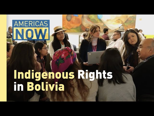 ⁣Bolivia's Vice President David Choquehuanca on Indigenous Rights