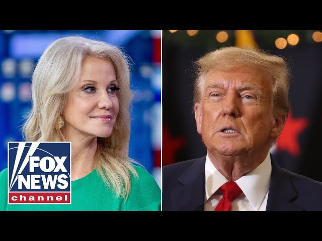 ⁣Kellyanne Conway ‘stunned’ by new battleground poll numbers: A ‘big deal’ for Trump