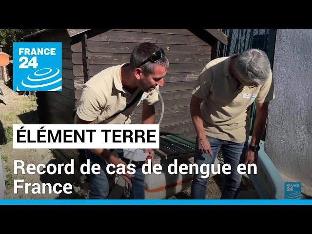 ⁣Record de cas de dengue en France • FRANCE 24