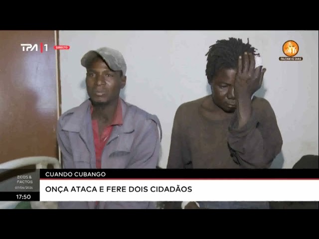 ⁣Cuando Cubango: Onça ataca e fere dois cidadãos