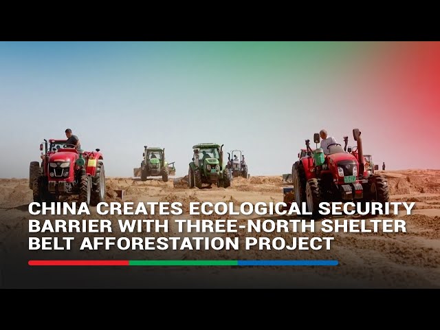 ⁣China creates ecological security barrier with Three-North Shelterbelt afforestation project