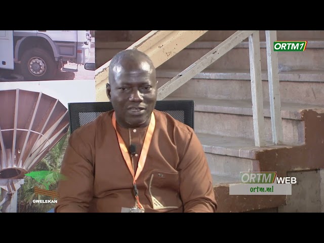 ⁣Médias | Débat : Gwelekan sur la professionnalisation des médias au Salon des Médias du Mali.