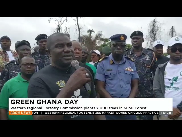 ⁣Green Ghana Day: Western Regional Forestry Commission plants 7,000 trees in Subri Forest -Adom News