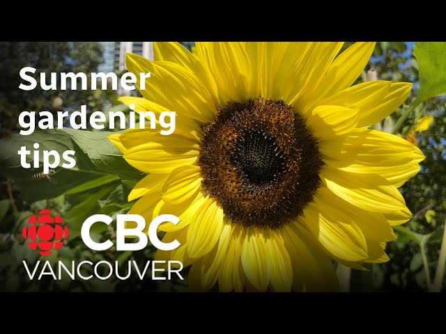⁣It's the perfect time to plant your summer garden, horticulturalist Brian Minter says