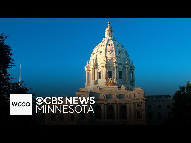⁣Special election at Minnesota capitol could change dynamic of legislative body