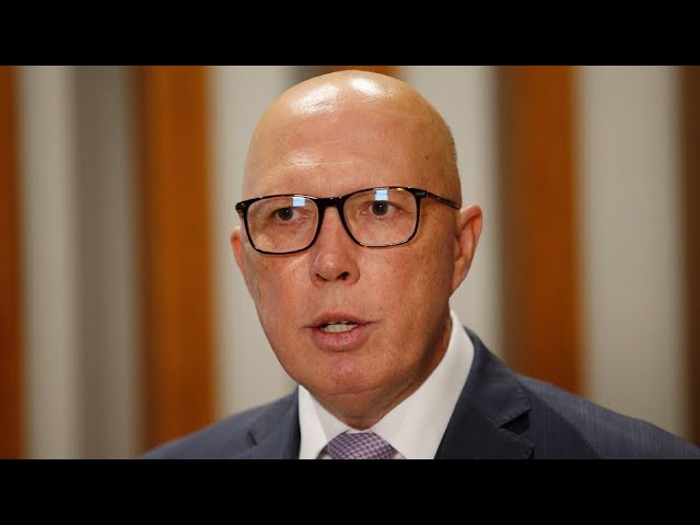 ‘Well he is’: Littleproud backs Dutton’s claim he is ‘most experienced’ economics leader