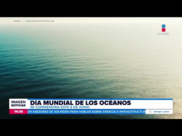 ⁣El 8 de junio se conmemora el Día Mundial de los Océanos | Noticias con Crystal Mendivil