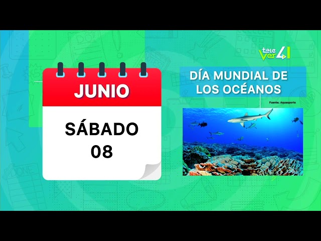 ⁣Día mundial de los océanos.