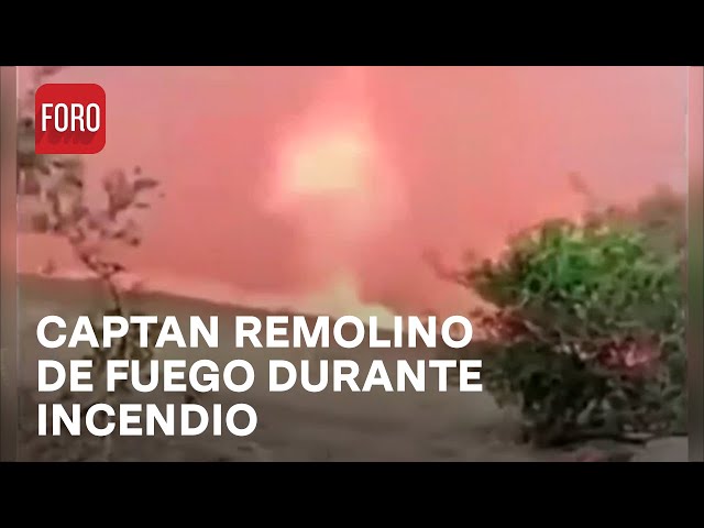 ⁣Impresionante remolino de fuego en Veracruz - Las Noticias