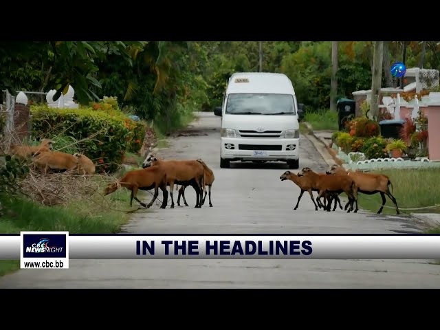 CBC NewsNight - June 6 2024