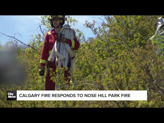 ⁣Calgary Fire responds to Nose Hill Park fire