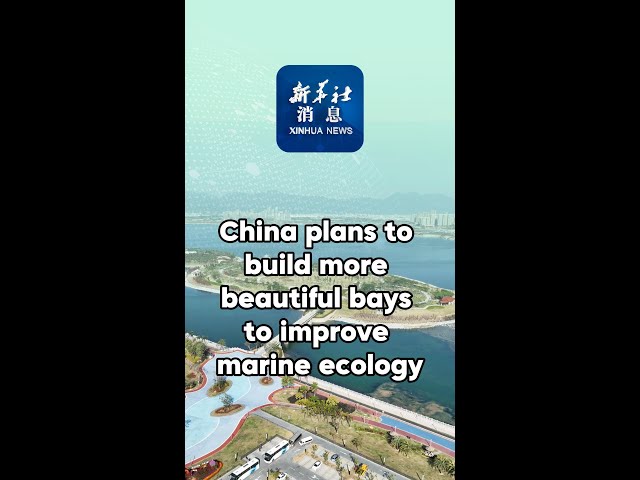 ⁣Xinhua News | China plans to build more beautiful bays to improve marine ecology
