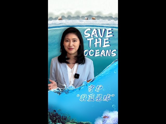 ⁣Global Watch Editor's Pick Ep. 22: Save the oceans