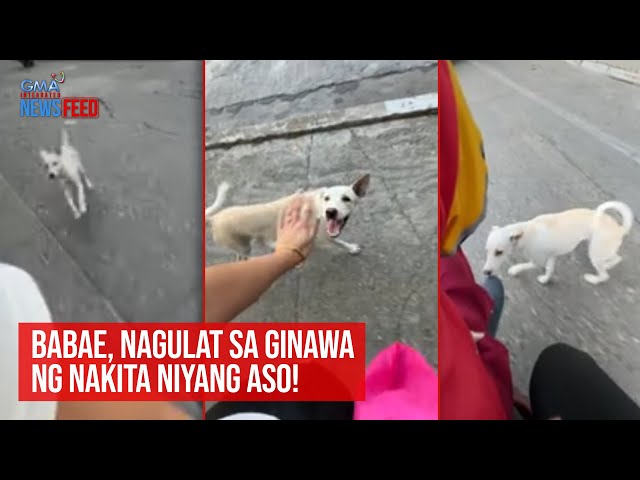 ⁣Babae, nagulat sa ginawa ng nakita niyang aso! | GMA Integrated Newsfeed