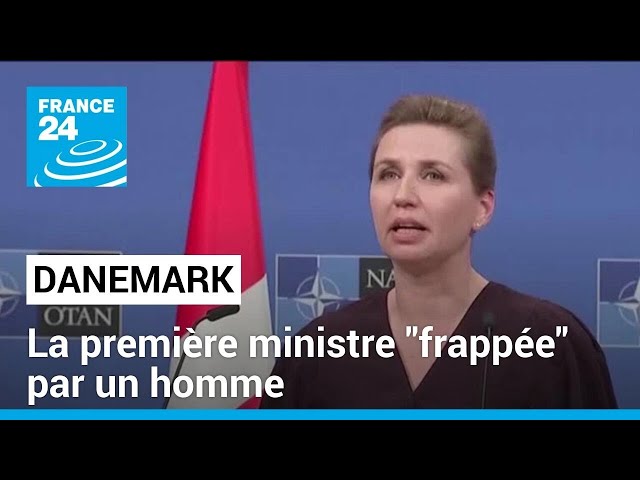 ⁣La première ministre danoise Mette Frederiksen "frappée" par un homme • FRANCE 24