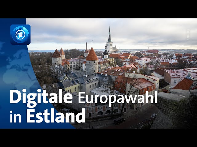 ⁣Europawahl: Stimmabgabe in Estland auch online