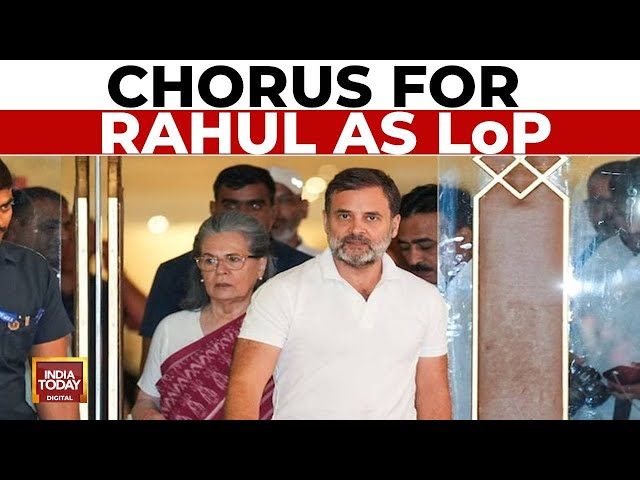 ⁣Will Rahul Gandhi Take Charge In Lok Sabha? | Chorus Grows For Rahul Gandhi As LoP