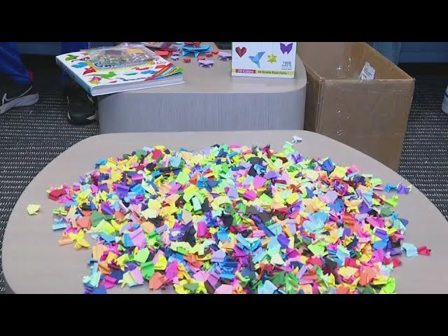 ⁣Chicago middle schoolers vie for origami frog world record