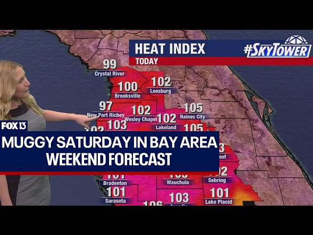 ⁣Tampa weather: Hot, muggy Saturday
