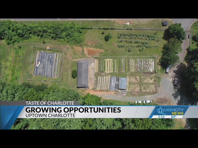 ⁣Local farmers growing plants and opportunities for those in Charlotte