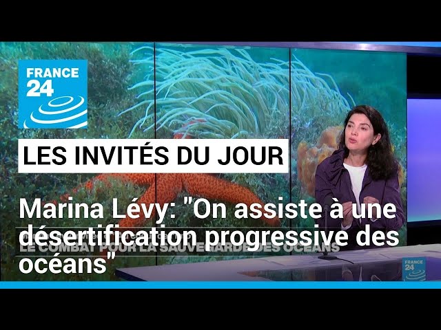 Marina Lévy: "On assiste à une désertification progressive des océans" • FRANCE 24