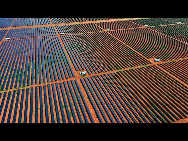 ⁣‘So many risks’: Concerns raised for solar farms in rural New South Wales