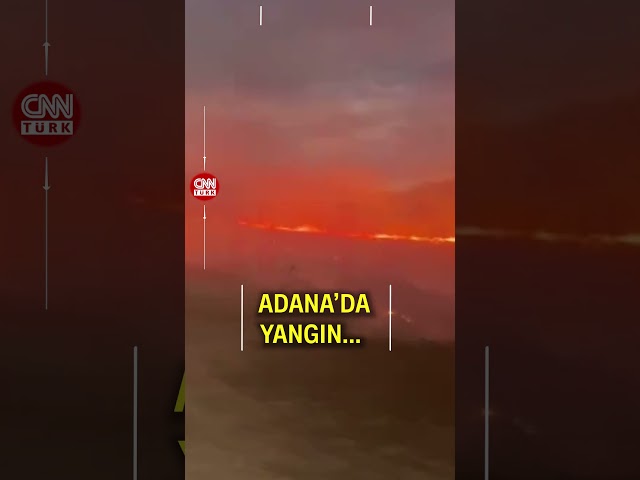 ⁣Adana'da Orman Yangını Çıktı! Ekiplerin Müdahalesi Sürüyor...