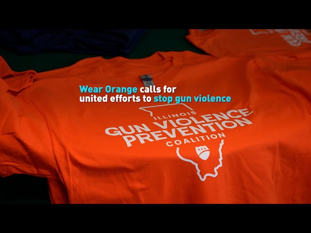 ⁣Wear Orange calls for united efforts to stop gun violence