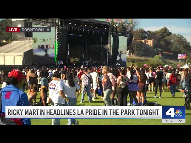 ⁣Festivalgoers enjoy live music with Pride at the Park