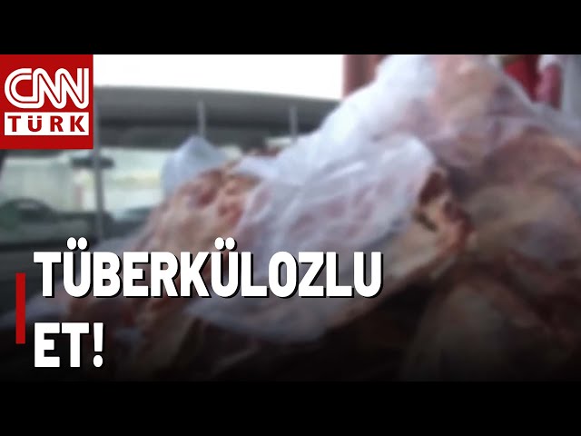 ⁣Tüberkülozlu Etleri Satacaklardı! O Kasaplar Denetimde Yakalandı!