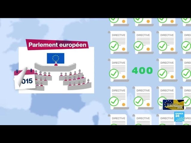 ⁣Élections européennes : comment fonctionne le Parlement européen ? • FRANCE 24