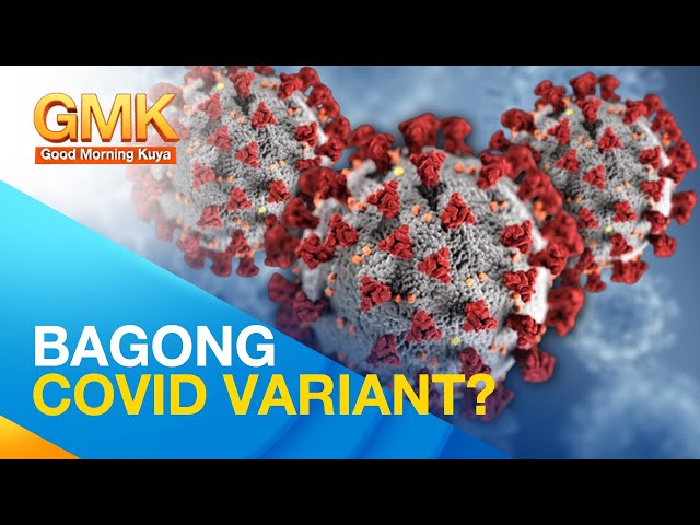 ⁣Ano ang COVID FLiRT subvariants? | Now You Know