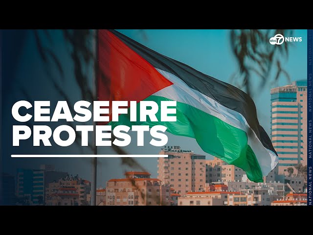 ⁣Protesters at White House demand cease-fire as Israel's war on Gaza enters eighth month