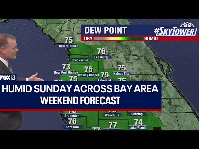 ⁣Tampa weather: Humid Sunday across Bay Area