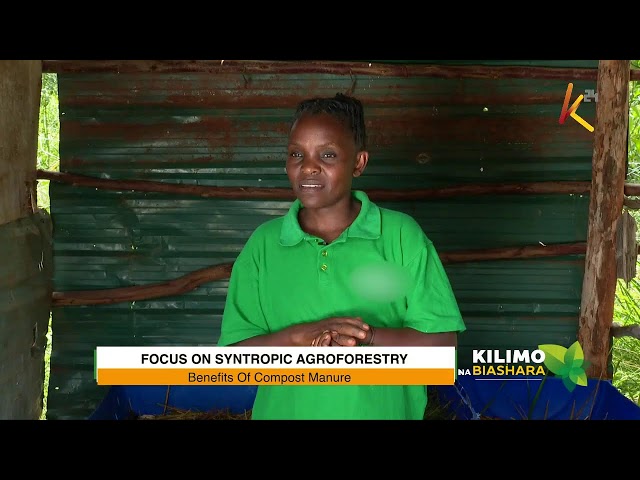 ⁣K24 TV LIVE| FOCUS ON SYNTROPIC AGROFORESTRY FARMING. #kilimonabiashara