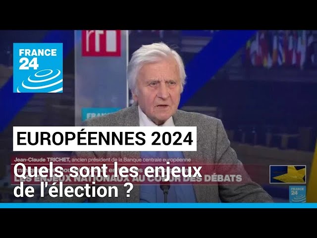 ⁣Européennes 2024 : pouvoir d'achat, immigration... quels sont les enjeux de l'élection ?