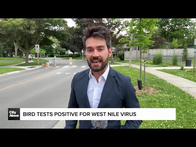 ⁣Positive West Nile cases in Ontario birds, one near GTA
