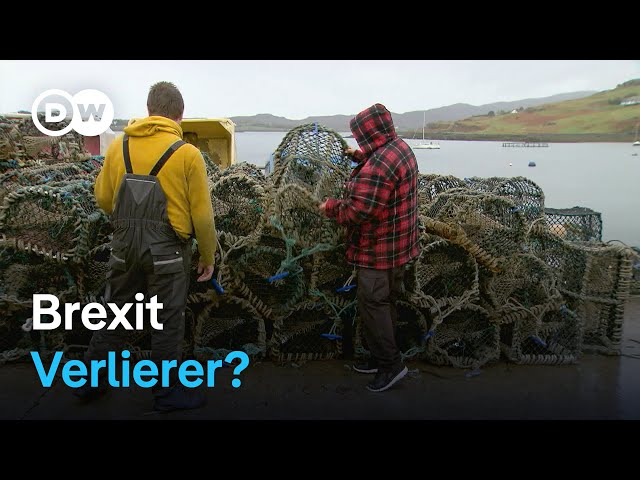 ⁣Sind Schottlands Fischer Brexit-Verlierer? | Fokus Europa