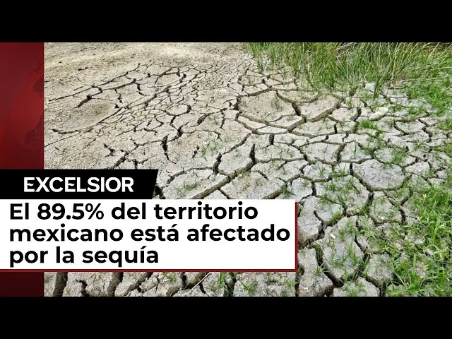 ⁣Se eleva sequía a 89.5% del país y hay ALERTA por falta de lluvias