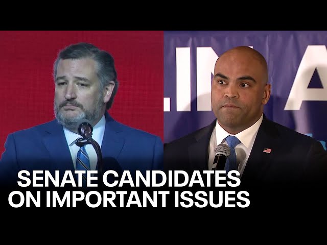 ⁣Ted Cruz, Colin Allred on the border, Israel