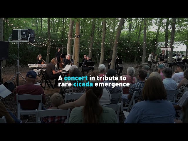 ⁣A concert in tribute to rare cicada emergence