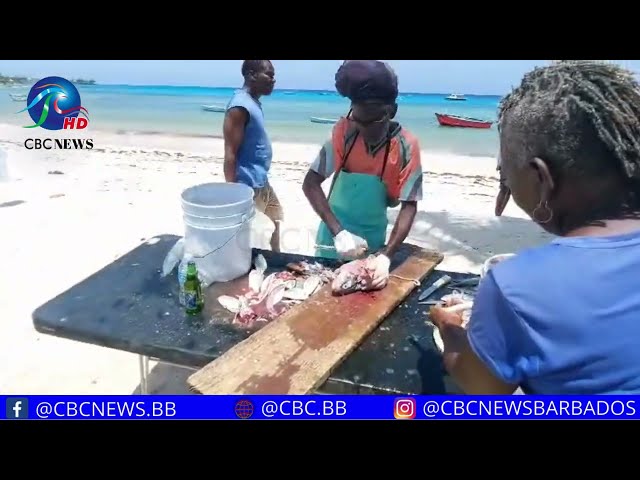 Fisherfolk enjoying Oistins