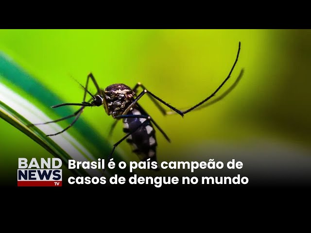 ⁣Brasil tem 82% dos casos suspeitos de dengue no mundo | BandNews TV