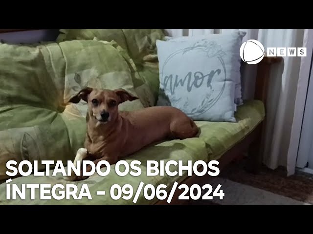 ⁣Soltando os Bichos - 09/06/2024