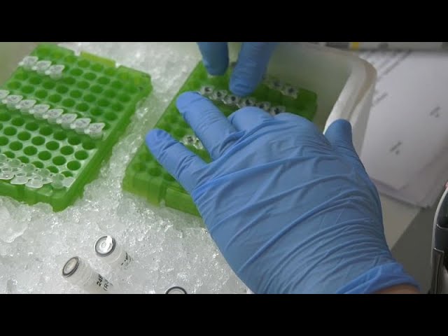 ⁣Combatir el cáncer con nanopartículas: un hito potencial para la ciencia