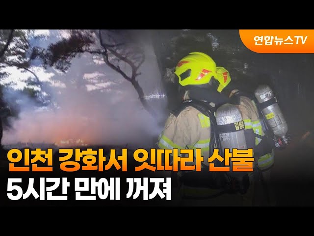 ⁣[제보23] 인천 강화서 잇따라 산불…5시간 만에 꺼져 外 / 연합뉴스TV (YonhapnewsTV)