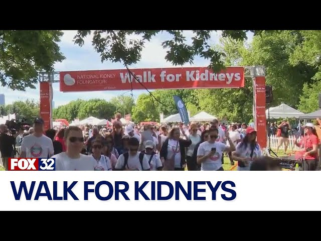 ⁣Thousands gather for 25th annual Walk for Kidneys, raising over $264K