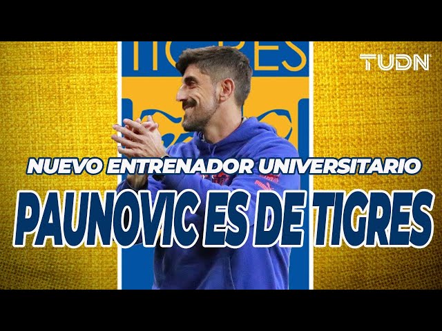 ⁣OFICIAL: ¡Pauno vuelve a la Liga MX como nuevo técnico de Tigres!