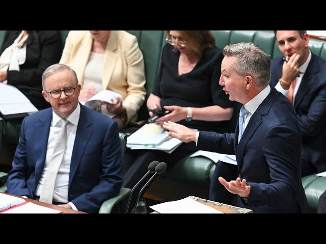 ⁣Labor ‘hadn’t done any modelling’ when they pledged 43 per cent emissions reduction